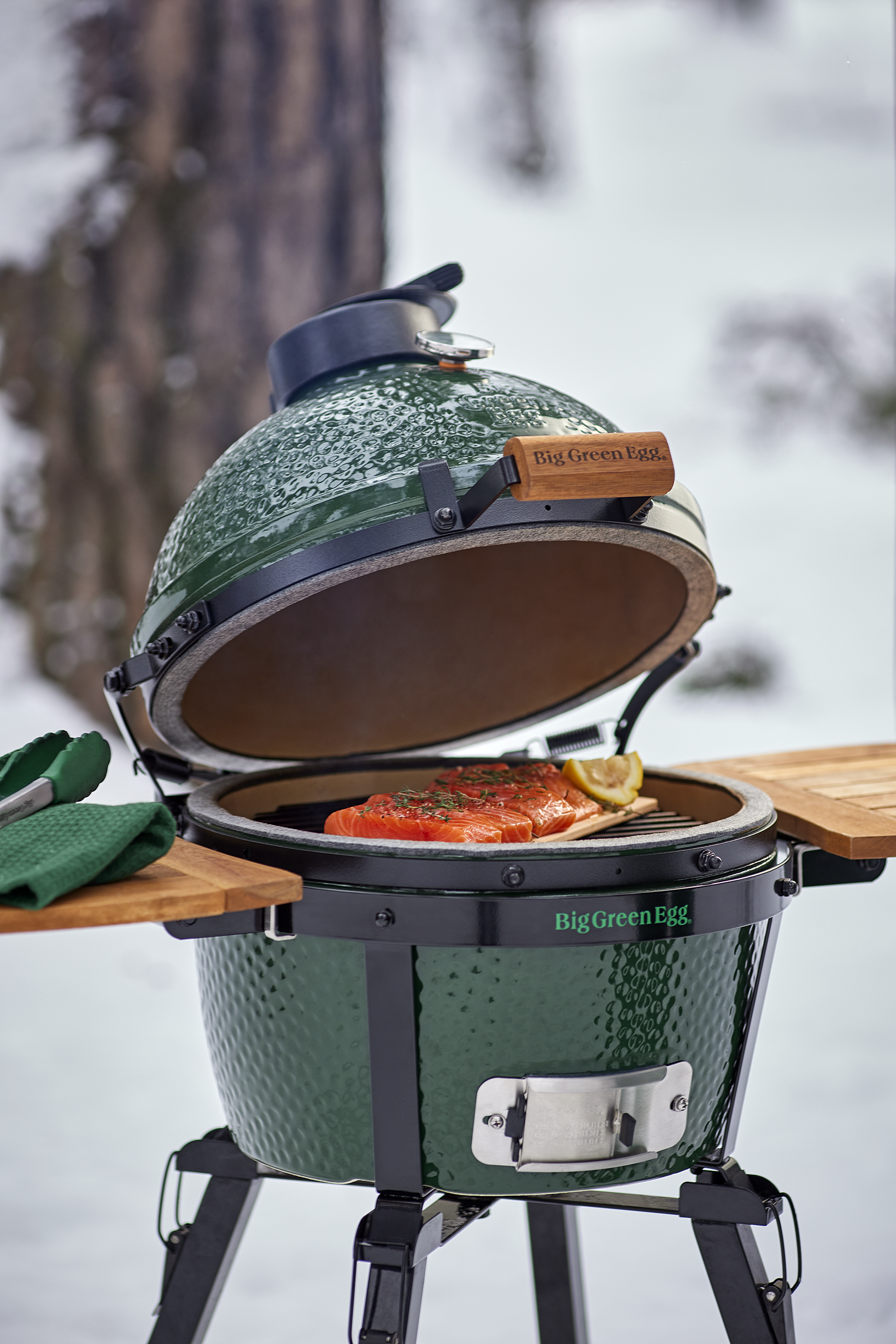 Big Green Egg Minimax