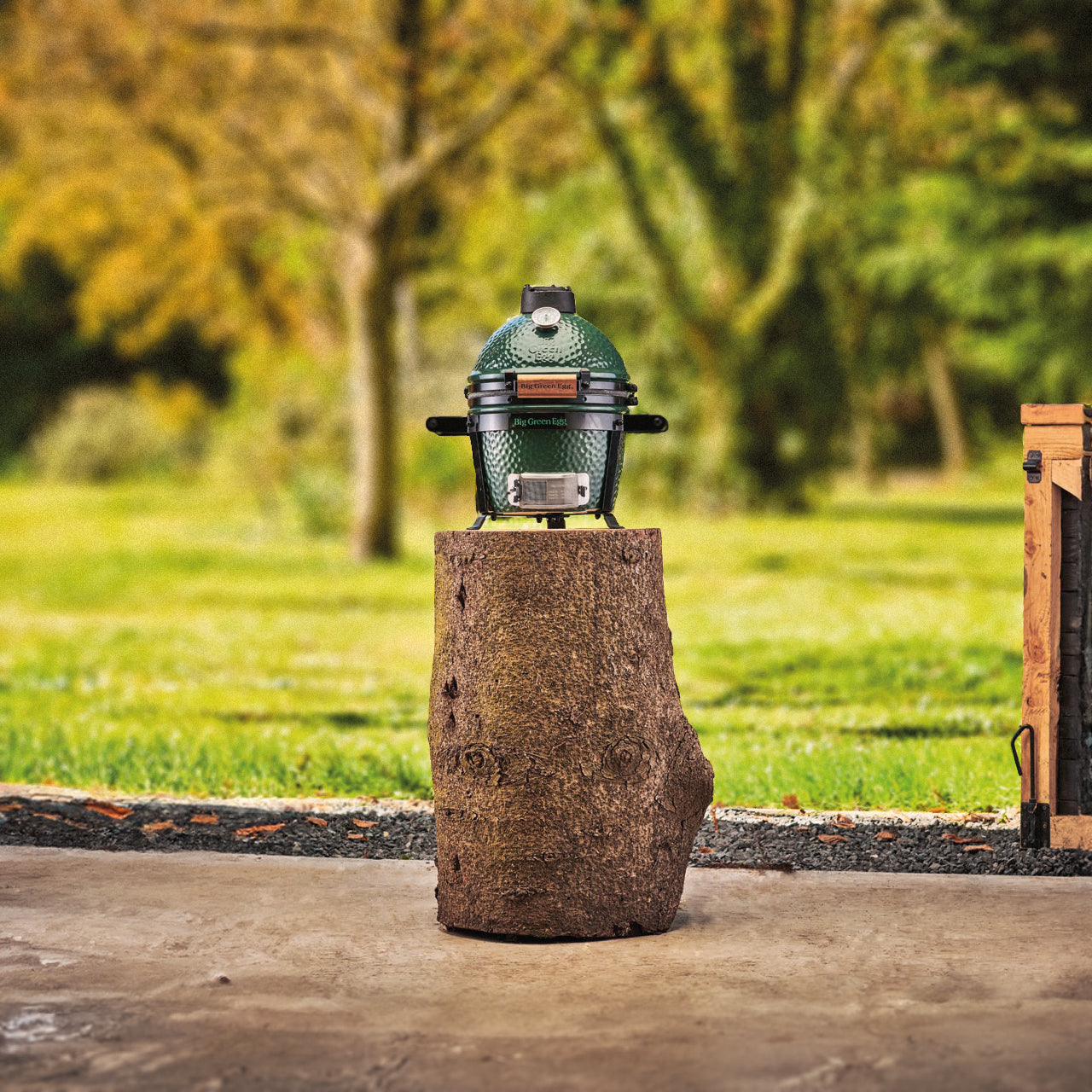 Big Green Egg Mini